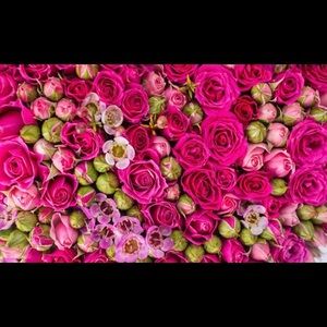 Meet your Posher, Inna